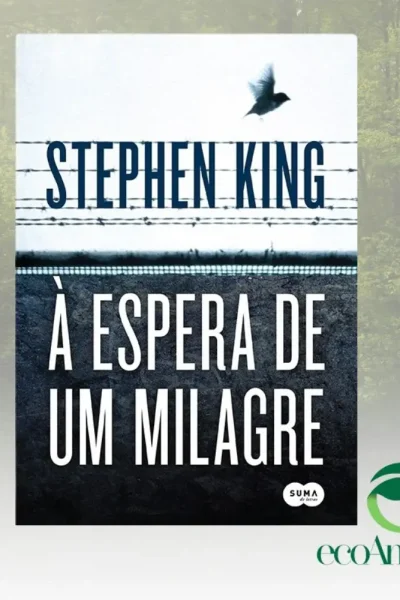 À ESPERA DE UM MILAGRE (convert.io)