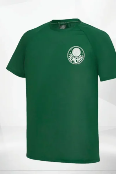 SPIRIT VERDE (1) (convert.io)